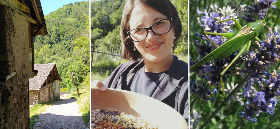 Sementi antiche ricevute dagli anziani, ortaggi e piante officinali